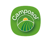 Logo 21