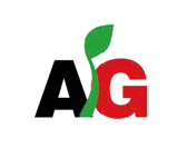 Logo 9